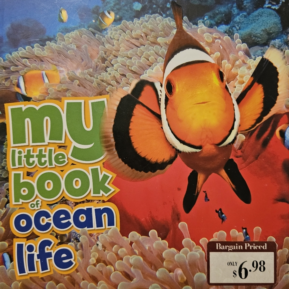 My Little Book Set - Weather, Ocean, Dinosaurs And Volcanos - Picture 6 of 9